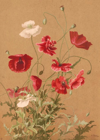 Ellen Fisher - Poppies.webp