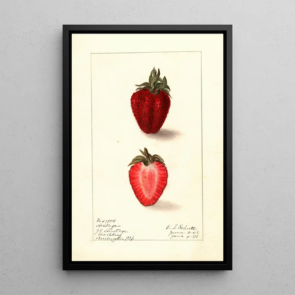 Fragaria Heritage - Ellen Isham Schutt — oprawiony obraz na ścianie
