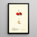 Malus Cherry Crab - Ellen Isham Schutt — oprawiony obraz na ścianie