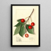 Prunus avium Govenor Wood - Ellen Isham Schutt — oprawiony obraz na ścianie