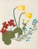 Album de fleurs en papier découpé pl. 05 - Ellen W. — widok dzieła