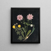 Album de fleurs en papier découpé pl. 14 - Ellen W. — oprawiony obraz na ścianie