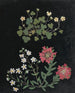 Album de fleurs en papier découpé pl. 15 - Ellen W. — widok dzieła