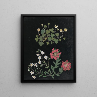 Ellen W - Album of cutpaper flowers Pl15.webp