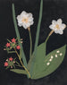 Album de fleurs en papier découpé pl. 18 - Ellen W. — widok dzieła