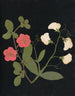 Album de fleurs en papier découpé Pl19 - Ellen W. — widok dzieła