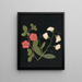 Album de fleurs en papier découpé Pl19 - Ellen W. — oprawiony obraz na ścianie