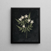Album de fleurs en papier découpé Pl25 - Ellen W. — oprawiony obraz na ścianie