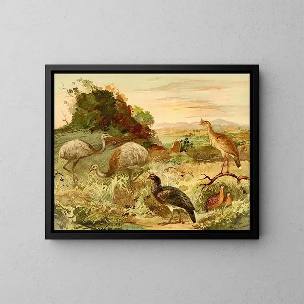 Ema Serima Anhma Perdiz - Emil August Göldi — oprawiony obraz na ścianie