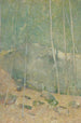 W lasach Maine - Emil Carlsen — widok dzieła