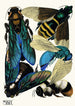 Insekty Pl16 - Émile-Allain Séguy — widok dzieła