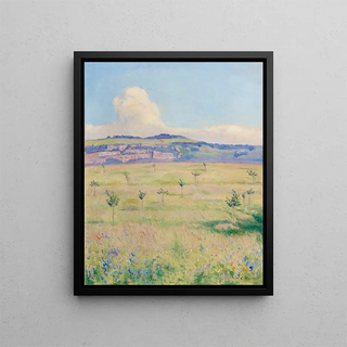 Emile Patru - Salve.webp