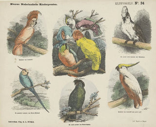 Emrik  Binger - Klimvogels.webp