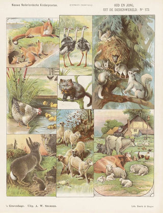Emrik Binger - Oud en jong uit de dierenwereld.webp
