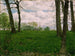 Champs verts - Erik Werenskiold — widok dzieła
