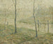Mgła poranna - Ernest Lawson — widok dzieła