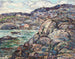 Côte rocheuse de la Nouvelle-Écosse - Ernest Lawson — widok dzieła