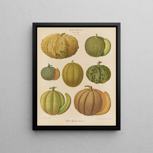 Melony - Ernst Benary — oprawiony obraz na ścianie