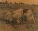 Moutons contemplatifs - Ernst Klee — widok dzieła
