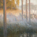 Esprits nocturnes - Gaston La Touche — widok dzieła