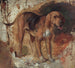 Studium psa rasy bloodhound - William Holman Hunt — widok dzieła
