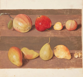 Étude de fleurs et de fruits - Johanna Fosie