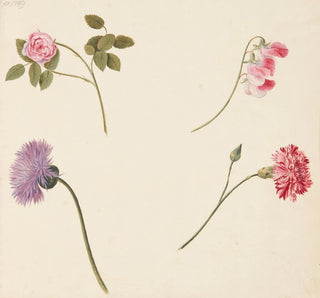 Étude de fleurs et de légumes - Johanna Fosie