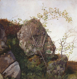 Étude de roses de chien et de fougères - Adolph Tidemand
