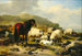 pejzaż z owcami - Eugène Joseph Verboeckhoven — widok dzieła