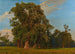 Duży Krajobraz z Prater - Ferdinand Georg Waldmüller — widok dzieła