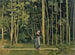 Promenada wzdłuż krawędzi lasu - Ferdinand Hodler — widok dzieła