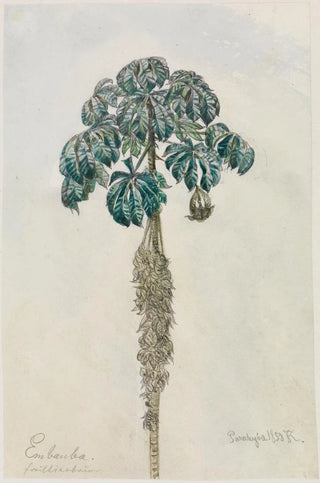 Ferdinand Keller - Faultierbaum.webp