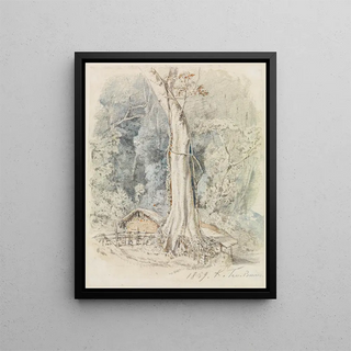 Ferdinand Keller - Haus mit Unterstand im Urwald bei TresBarras.webp