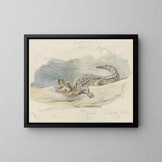Ferdinand Keller - Studie eines Alligators.webp