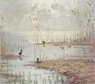 Ferdinand Schebek - Motiv vom Tollense See Mecklenburg Lake Plateau.webp
