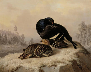 Tetra lyre samiec i samica - Ferdinand von Wright — widok dzieła