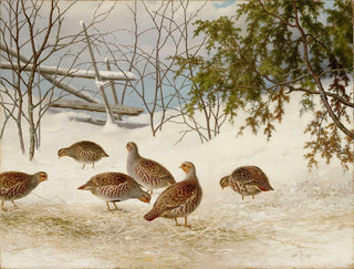 Ferdinand von Wright - Partridges In Snow.webp