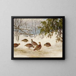 Ferdinand von Wright - Partridges In Snow.webp