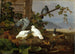 gołębi - Ferdinand von Wright — widok dzieła