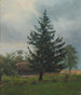 Świerk - Ferdynand Ruszczyc — widok dzieła
