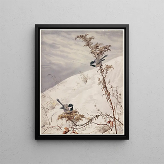 Fidelia Bridges - August.webp