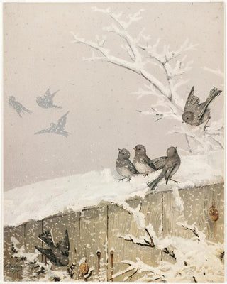 Fidelia Bridges - January II.webp