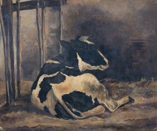 Floris Verster - Cow lying down in a cowshed.webp