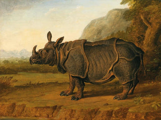 Follower of JeanBaptiste Oudry - The Rhinoceros Clara.webp