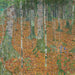 Las brzozowy - Gustav Klimt — widok dzieła