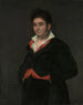 portret Don Ramón Satué - Francisco de Goya — widok dzieła