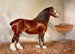 Clydesdale Prince d'Albion - Frank Babbage — widok dzieła