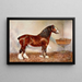 Clydesdale Prince d'Albion - Frank Babbage — oprawiony obraz na ścianie