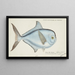 Brama brama NZ Ray's Bream - Frank Edward Clarke — oprawiony obraz na ścianie