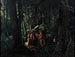 Indian Amazonów oddający hołd bogowi słońca - François-Auguste Biard — widok dzieła